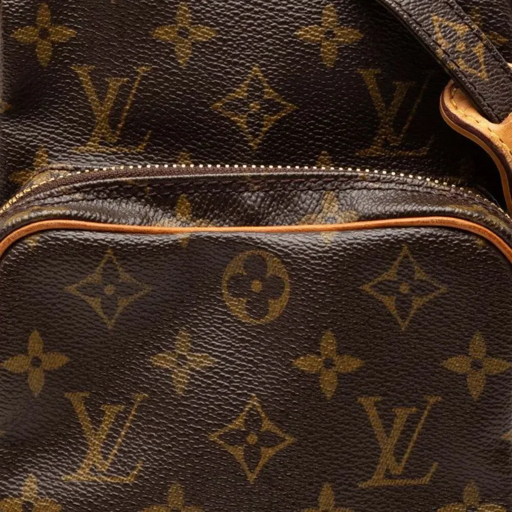 Louis Vuitton Monogram Amazon Crossbody Bag